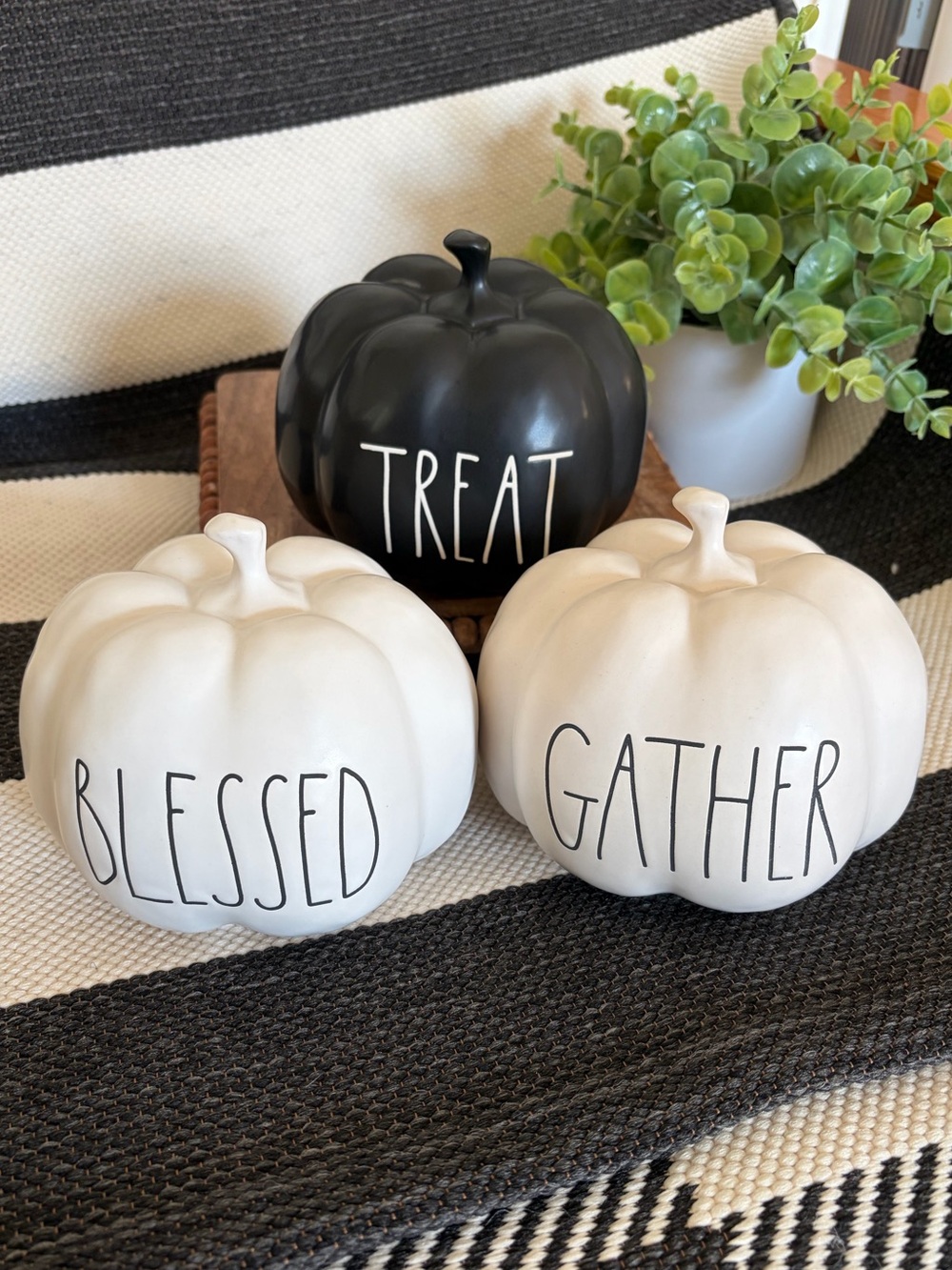 3 Rae Dunn Ceramic Pumpkins